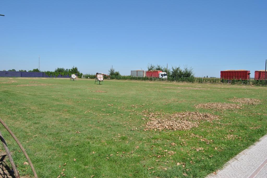 DSC_4943.JPG
