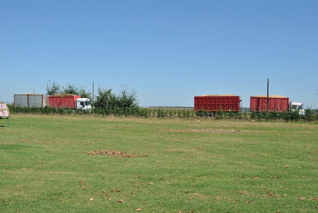 DSC_4945.JPG