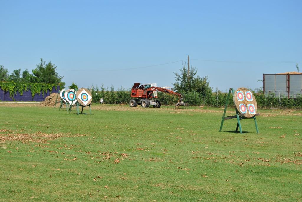 DSC_4946.JPG