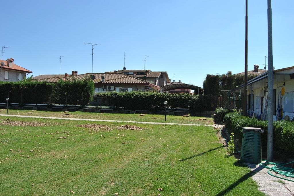 DSC_4952.JPG