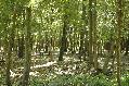 _MG_6721.JPG