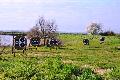DSC_2615.JPG